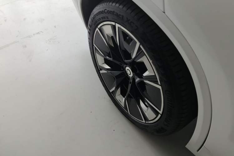 Used BMW iX3 2022 Updated Leading Type Exterior 5
