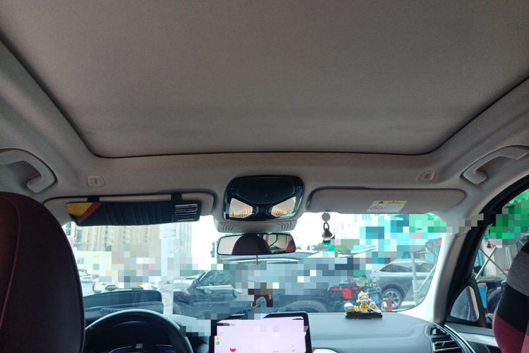 Used BMW iX3 2022 Leading Type Headliner