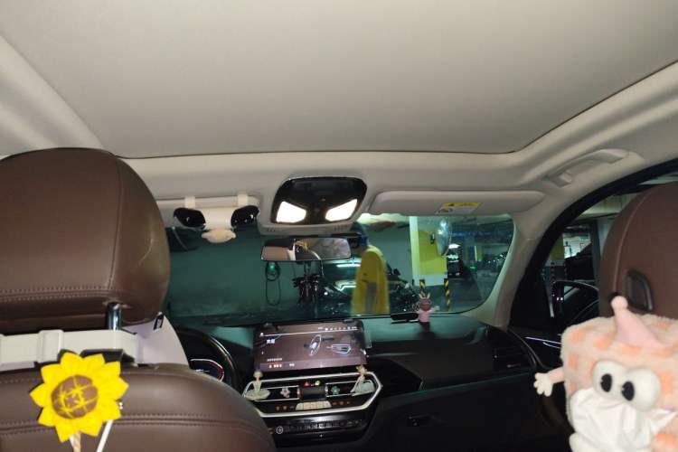 Used BMW iX3 2022 Leading Model Headliner