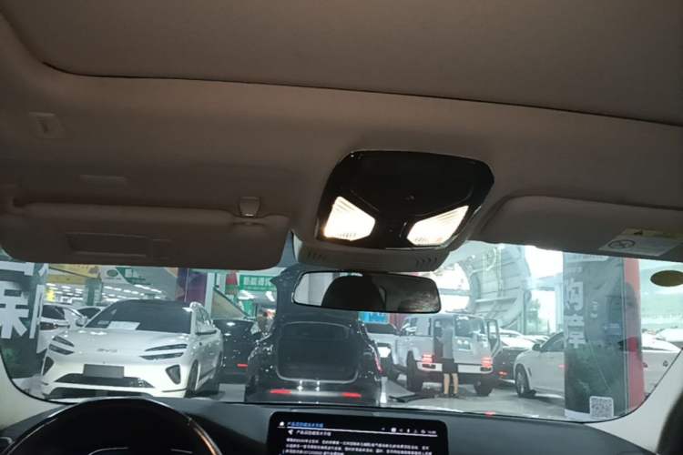 Used BMW iX3 2022 Leading Model Headliner