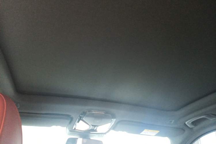 Used BMW iX3 2022 Updated Leading Type Headliner