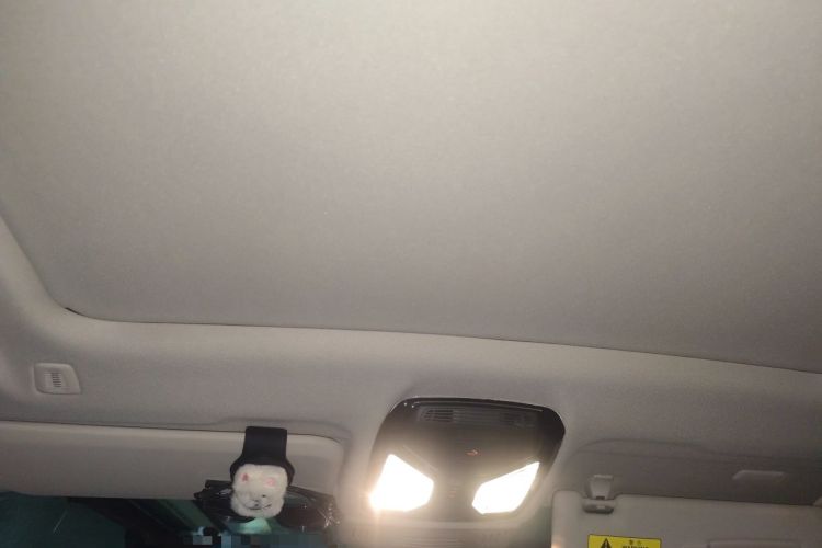 Used BMW iX3 2022 Updated Leading Version Headliner
