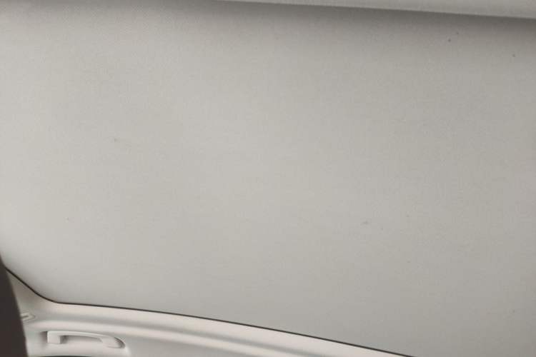 Used BMW iX3 2022 Leading Type Headliner