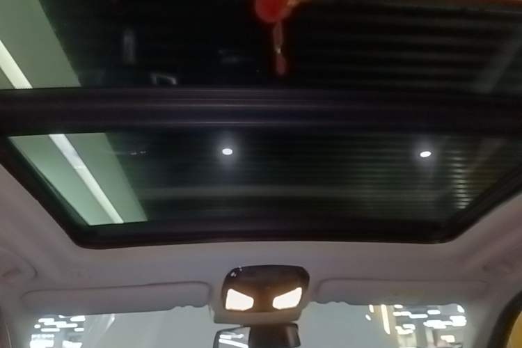 Used BMW iX3 2022 Leading Type Headliner