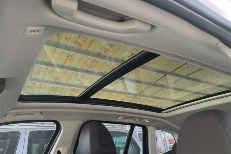 Used BMW iX3 2022 Leading Type Headliner