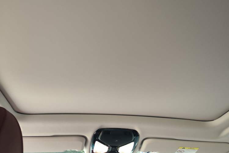 Used BMW iX3 2022 Leading Model Headliner