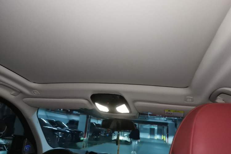 Used BMW iX3 2022 Leading Type Headliner