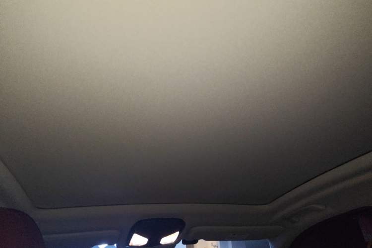 Used BMW iX3 2022 Updated Leading Version Headliner