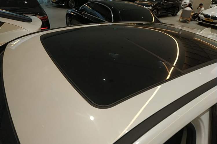 Used BMW iX3 2022 Leading Model Roof