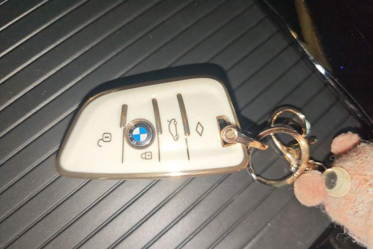Used BMW iX3 2022 Leading Model Vehicle Key