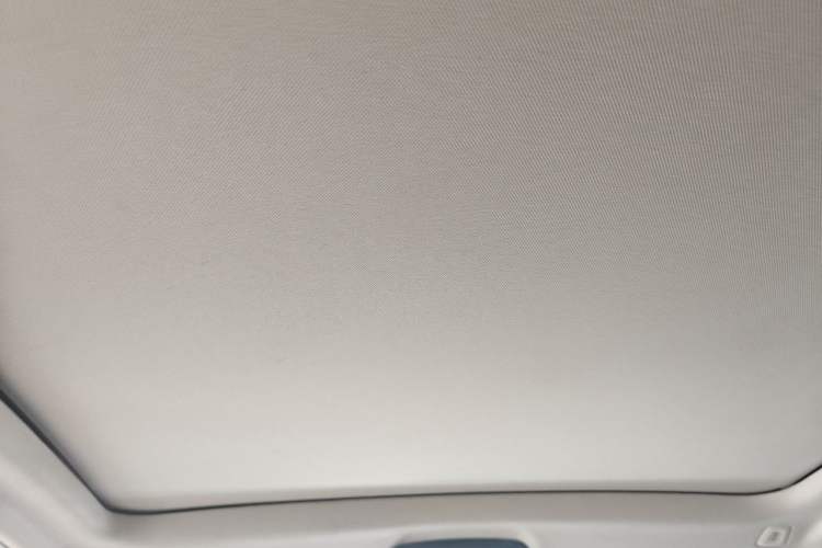 Used BMW iX3 2023 Leading Type Headliner