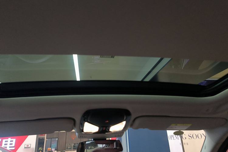Used BMW iX3 2023 Leading Type Headliner