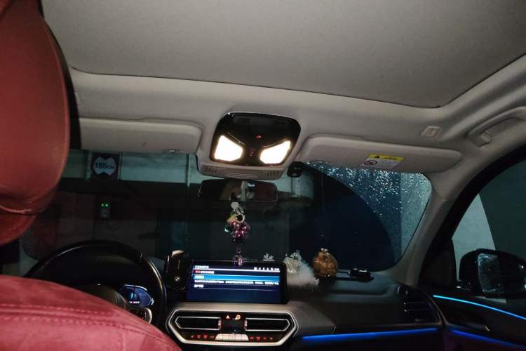 Used BMW iX3 2023 Leading Type Headliner