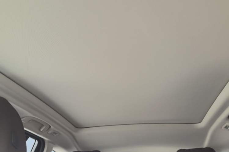 Used BMW iX3 2023 Leading Type Headliner