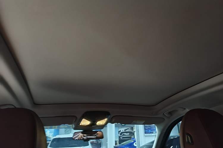Used BMW iX3 2023 Leading Type Headliner