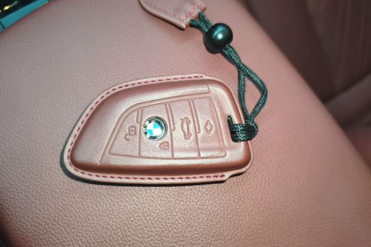 Used BMW iX3 2023 Leading Type Vehicle Key