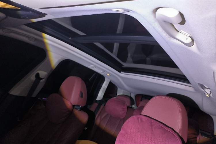 Used BMW iX3 2023 Leading Type Headliner