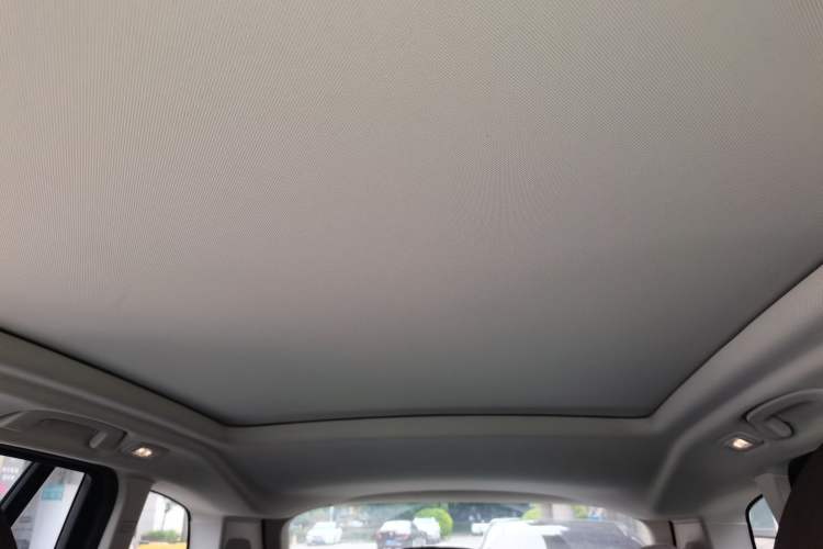 Used BMW iX3 2023 Leading Type Headliner
