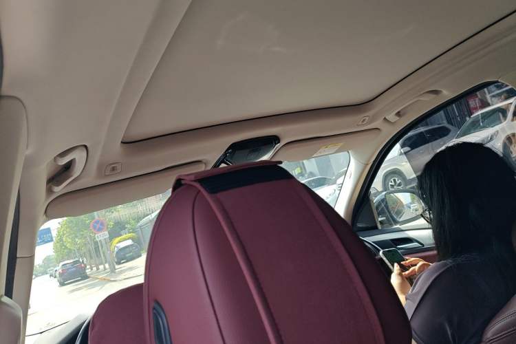 Used BMW iX3 2023 Leading Type Headliner
