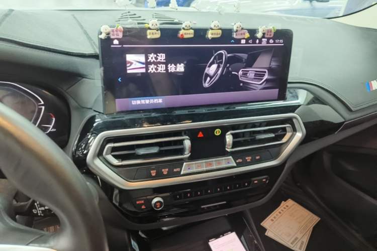 Used BMW iX3 2023 Leading Model Audio And AC Panel