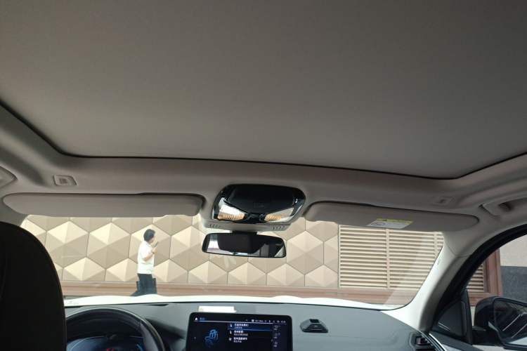 Used BMW iX3 2023 Leading Type Headliner