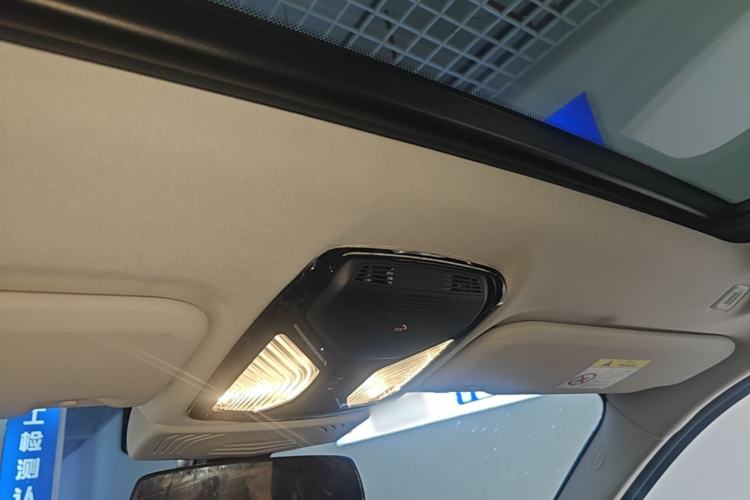 Used BMW iX3 2023 Leading Type Headliner