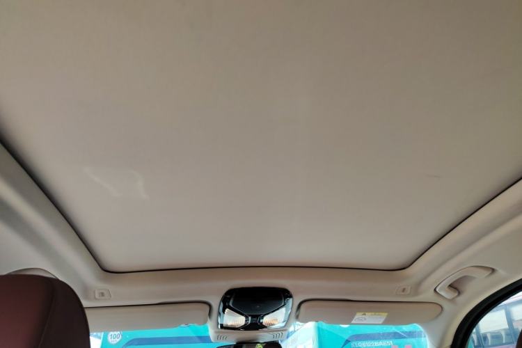 Used BMW iX3 2023 Leading Type Headliner