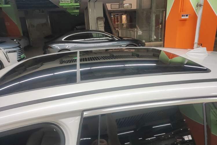 Used BMW iX3 2023 Leading Model Roof