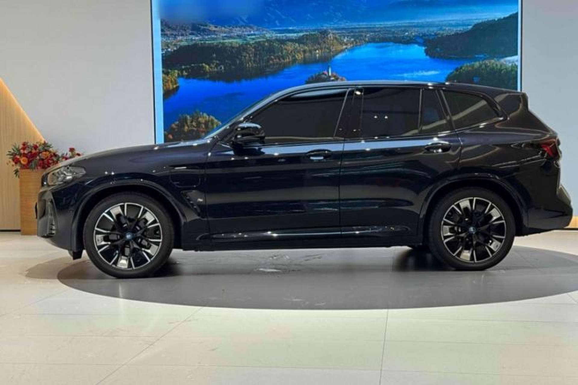 Used BMW iX3 2024 Leading Type Exterior 4