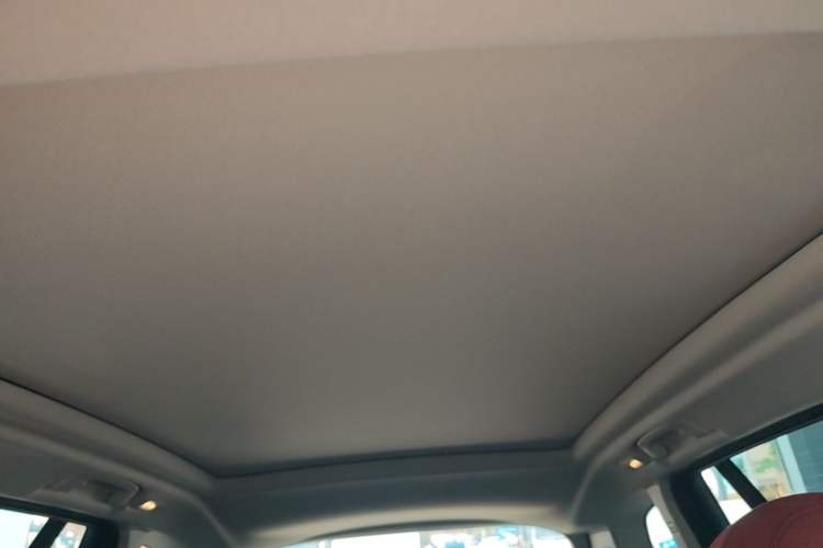 Used BMW iX3 2024 Leading Type Headliner