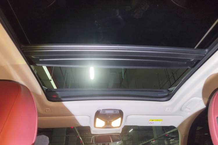 Used BMW iX3 2024 Leading Type Headliner