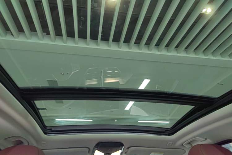 Used BMW iX3 2024 Leading Type Headliner