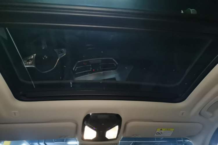 Used BMW iX3 2024 Leading Type Headliner