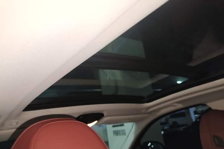 Used BMW iX3 2024 Leading Type Headliner
