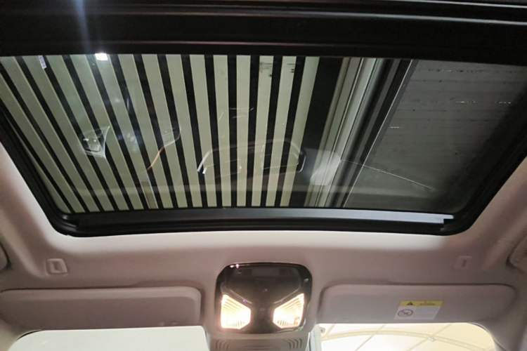 Used BMW iX3 2024 Leading Type Headliner