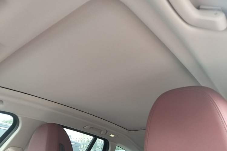 Used BMW iX3 2024 Leading Type Headliner