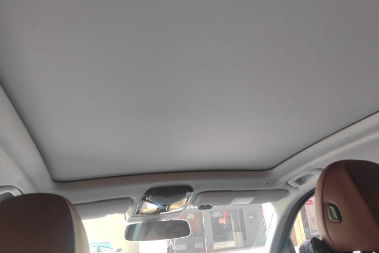 Used BMW iX3 2024 Leading Type Headliner