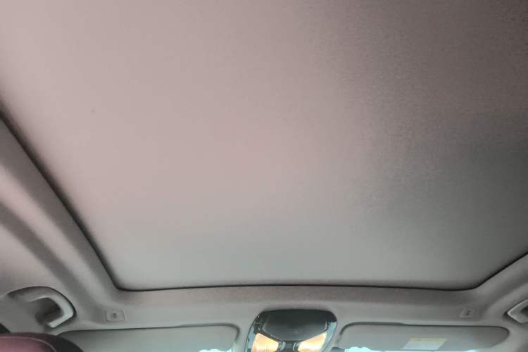 Used BMW iX3 2024 Leading Type Headliner
