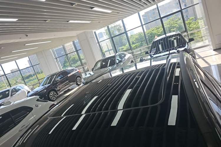 Used BMW iX3 2024 Leading Model Roof