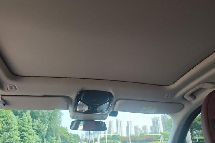 Used BMW iX3 2024 Leading Type Headliner