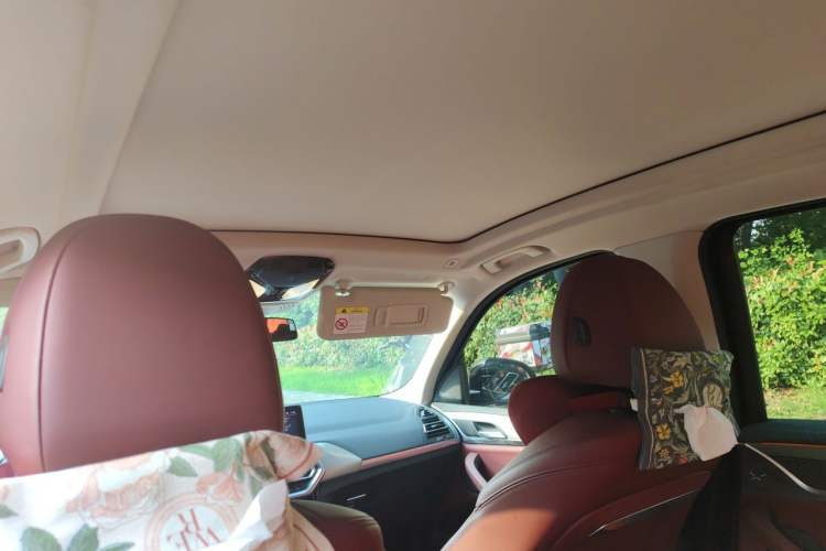 Used BMW iX3 2024 Leading Type Headliner