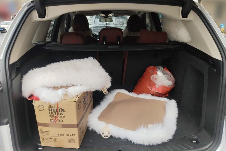 Used BMW iX3 2024 Leading Model Trunk