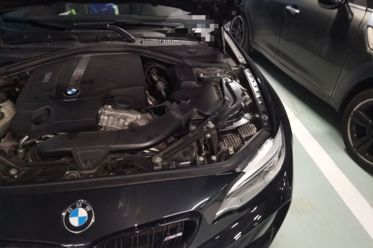 Used BMW M2 2016 M2 Engine Bay Left