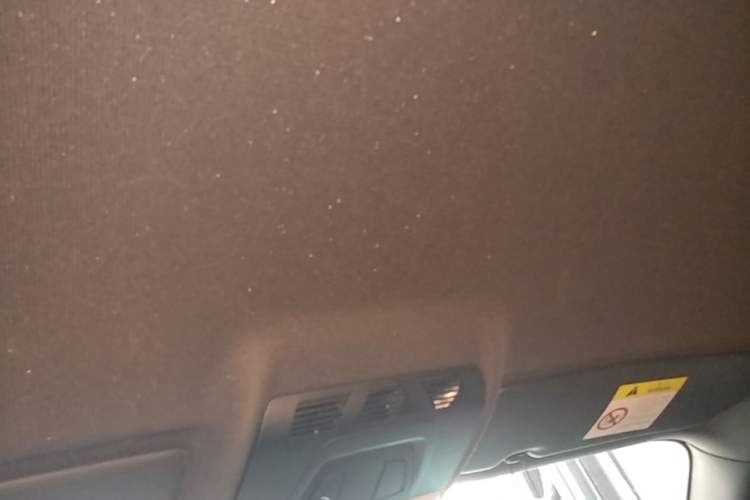 Used BMW M2 2018 M2 Thunder Edition Headliner