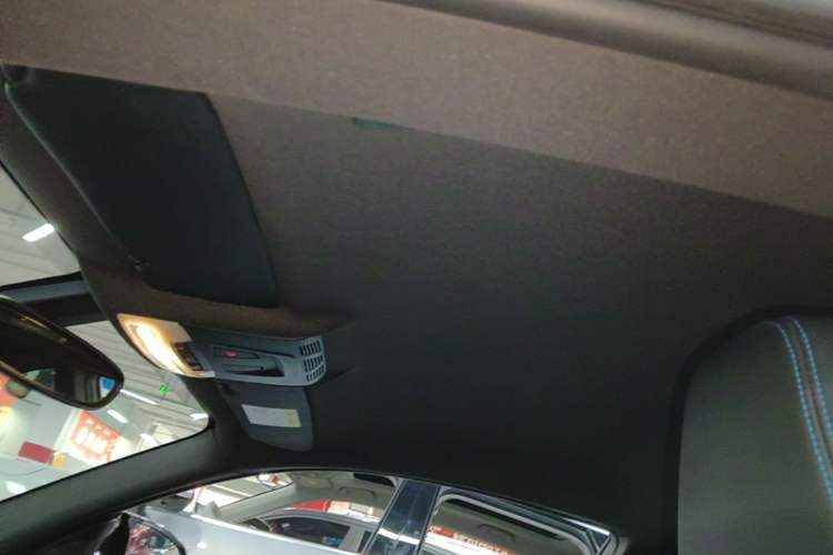 Used BMW M2 2018 M2 Thunder Edition Headliner