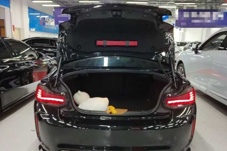 Used BMW M2 2018 M2 Thunder Edition Trunk
