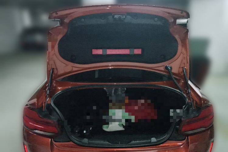 Used BMW M2 2018 M2 Thunder Edition Trunk