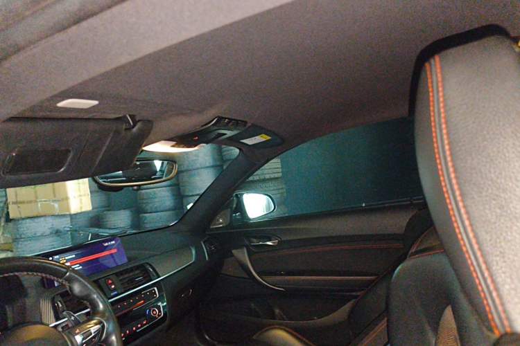 Used BMW M2 2018 M2 Thunder Edition Headliner