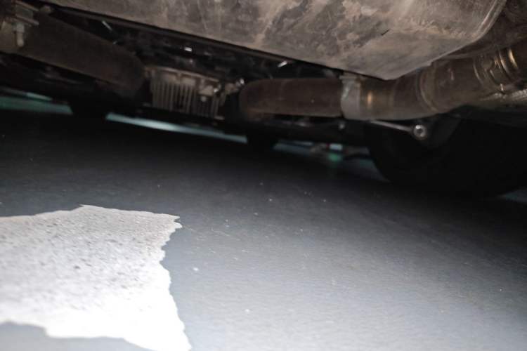 Used BMW M2 2023 M2 Chassis Rear