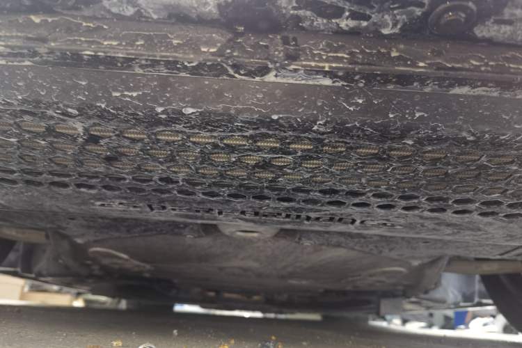 Used BMW M2 2024 M2 Chassis Front